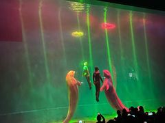 -芜湖新华联大白鲸海洋公园