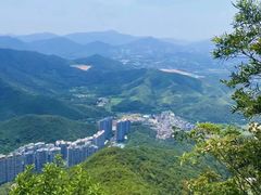 -梧桐山风景名胜区