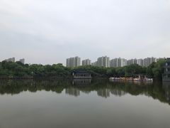 -南汇桃花村