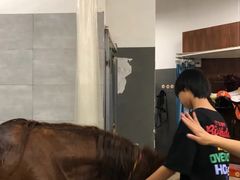-骑乐马术(广州奥体优托邦中心)