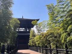 -大唐贡茶院