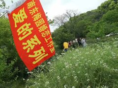 -梅园婚恋·婚姻介绍