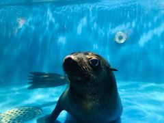 -成都浩海立方海洋公园