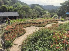 -广东天露山旅游度假区