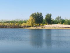 -东郊湿地公园