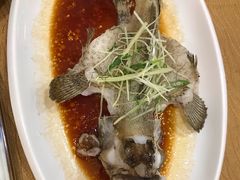 -寻味顺德·南记酒家·传统顺德菜·鱼生(广源路店)