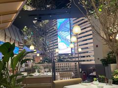 -桂满陇·海市蜃楼·黑金(国金店)