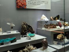 -湖南省地质博物馆