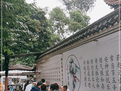 -张醪糟