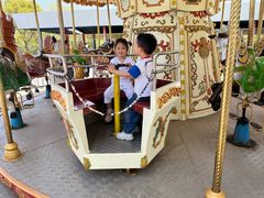 -上海海湾国家森林公园