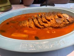 -阿五黄河大鲤鱼(英协路店)