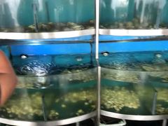 -云顶旋转自助景观餐厅