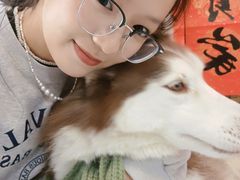 -星多哈·狗咖·拼豆·咖啡