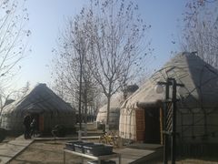 -九十九顶毡房(阜石路店)