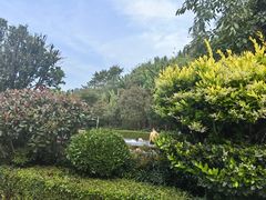 -腾冲洞山温泉村