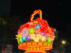 -越秀西湖花市(广州城市广场花卉店)