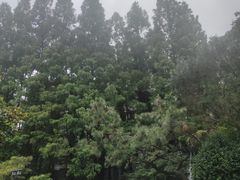 -上海虹桥迎宾馆