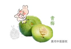 -雅曼妮spa美容养生