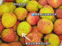 -港华水果街(港华广场店)