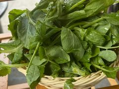 -菌海森林·非遗野生菌火锅(西山区滇池路摩根道店)