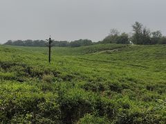 -南京市江宁方山