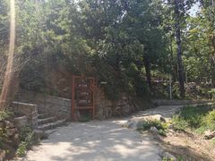 -大岭沟猕猴桃谷风景区