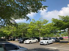 -日月潭