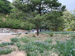 -北京西山国家森林公园