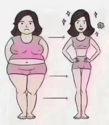 点击看大图 -香薇妮丝女子减肥院