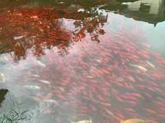 -竹泉村旅游度假区