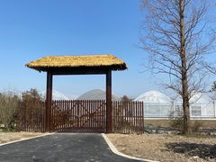 -广富林郊野公园