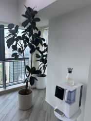 -HEYAN荷妍专业脱毛连锁机构