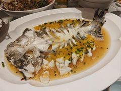 -燕郊烧鸽子(酷车小镇店)