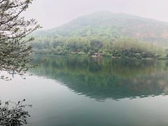 -桃花岛景观公园
