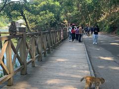 -黔灵山公园