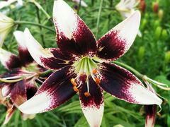 -长春公园(普阳街道)