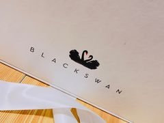 -BLACKSWAN黑天鹅(环球店)
