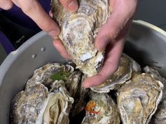 高压锅蒸蚝-千岛蚝高压锅生蚝·人参火锅(白云万达店)