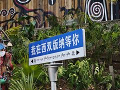 -西双版纳原始森林公园