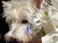 -陶享时光西餐·下午茶(信河街店)