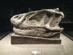 -自贡恐龙博物馆