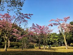 -晓港公园