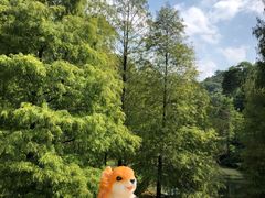 -云溪植物园