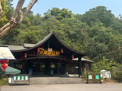 -普洱太阳河森林公园