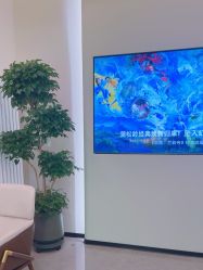 -卡尔诗·科技美肤连锁