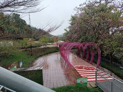 -佛山华盖山公园