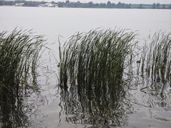 -丁香湖公园