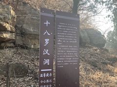 -抱犊崮国家森林公园