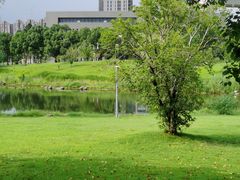 -同济大学(嘉定校区)