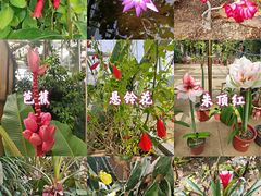 -国家植物园南园